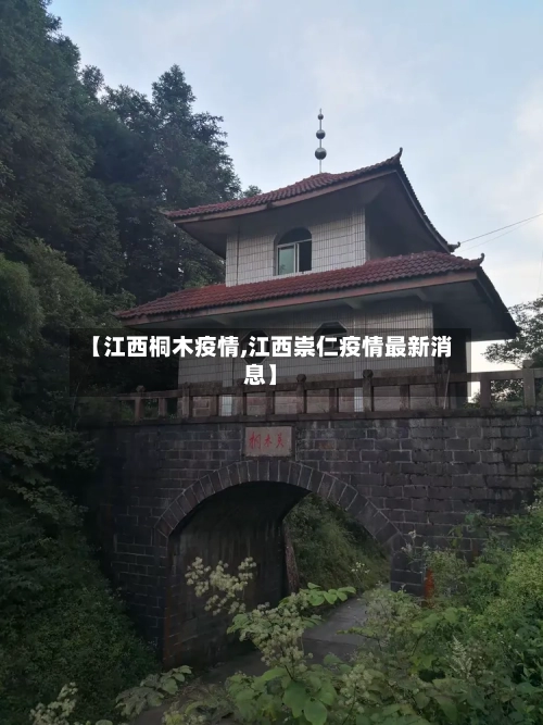 【江西桐木疫情,江西崇仁疫情最新消息】-第2张图片
