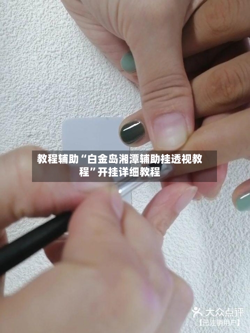 教程辅助“白金岛湘潭辅助挂透视教程	”开挂详细教程-第3张图片