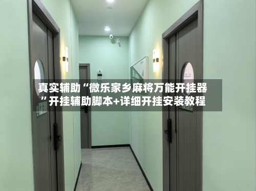 真实辅助“微乐家乡麻将万能开挂器”开挂辅助脚本+详细开挂安装教程-第3张图片