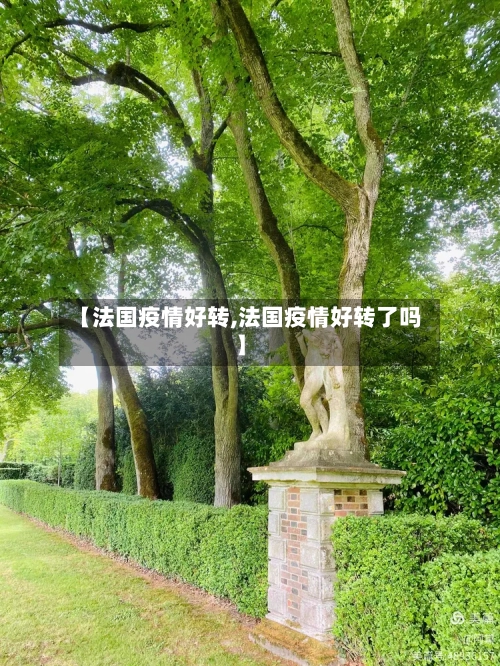 【法国疫情好转,法国疫情好转了吗】-第2张图片