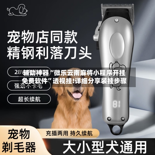 辅助神器“微乐云南麻将小程序开挂免费软件”透视挂!详细分享装挂步骤-第1张图片