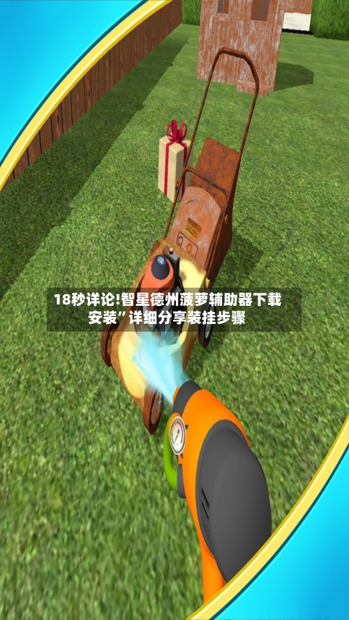 18秒详论!智星德州菠萝辅助器下载安装	”详细分享装挂步骤-第2张图片