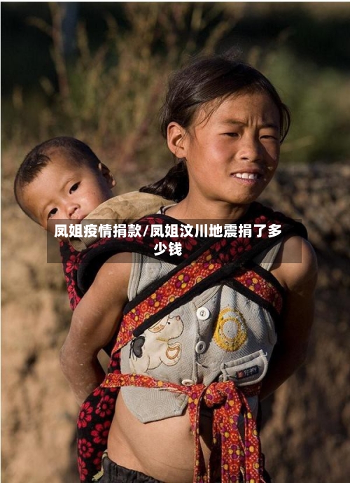 凤姐疫情捐款/凤姐汶川地震捐了多少钱-第2张图片