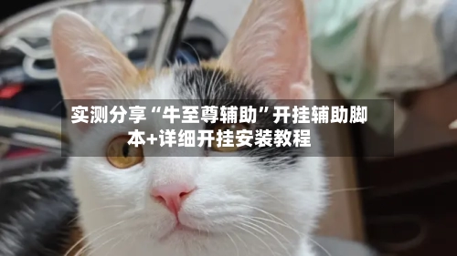 实测分享“牛至尊辅助”开挂辅助脚本+详细开挂安装教程-第3张图片