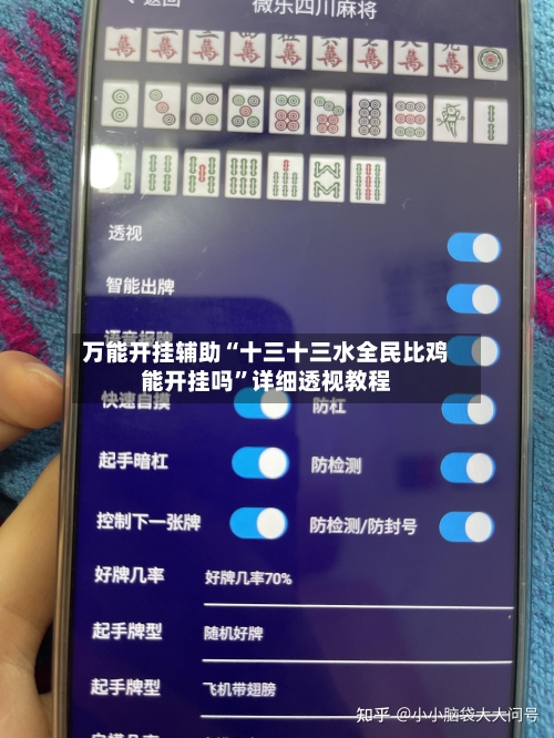 万能开挂辅助“十三十三水全民比鸡能开挂吗”详细透视教程-第2张图片