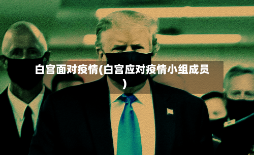白宫面对疫情(白宫应对疫情小组成员)-第1张图片