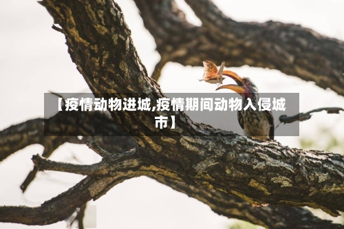 【疫情动物进城,疫情期间动物入侵城市】-第2张图片