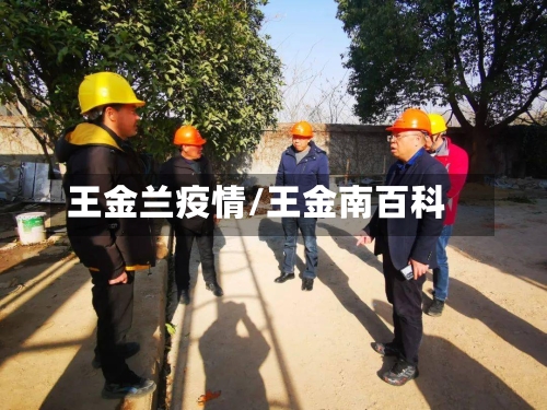 王金兰疫情/王金南百科-第2张图片