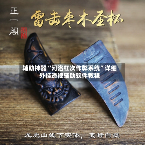 辅助神器“河洛杠次作弊系统”详细外挂透视辅助软件教程-第2张图片