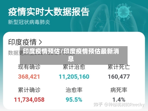 印度疫情预估/印度疫情预估最新消息-第3张图片