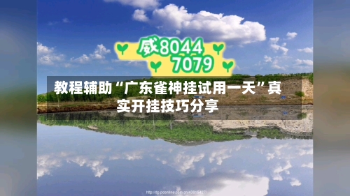 教程辅助“广东雀神挂试用一天”真实开挂技巧分享-第3张图片
