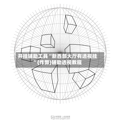 开挂辅助工具“新西部大厅有透视挂”(作弊)辅助透视教程-第1张图片