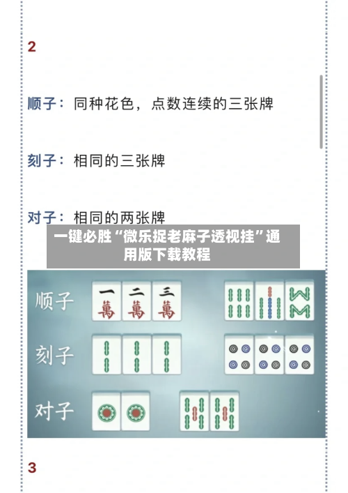 一键必胜“微乐捉老麻子透视挂”通用版下载教程-第3张图片