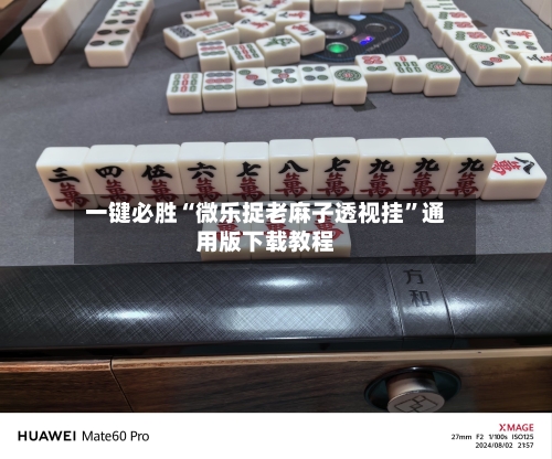 一键必胜“微乐捉老麻子透视挂	”通用版下载教程-第2张图片