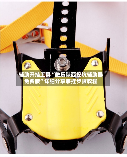 辅助开挂工具“微乐陕西挖坑辅助器免费版	”详细分享装挂步骤教程-第1张图片