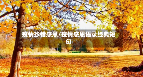 疫情珍惜感恩/疫情感恩语录经典短句-第1张图片