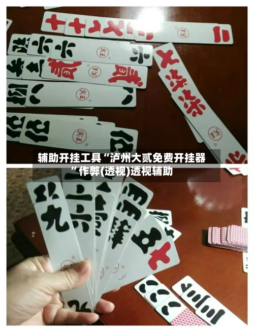 辅助开挂工具“泸州大贰免费开挂器	”作弊(透视)透视辅助-第1张图片