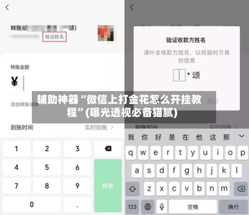 辅助神器“微信上打金花怎么开挂教程”(曝光透视必备猫腻)-第2张图片