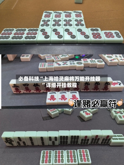 必备科技“上海哈灵麻将万能开挂器”详细开挂教程-第2张图片