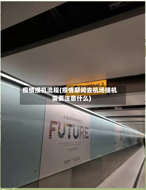 疫情接机流程(疫情期间去机场接机需要注意什么)-第1张图片