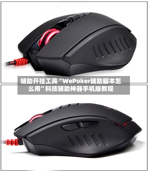 辅助开挂工具“WePoker辅助脚本怎么用	”科技辅助神器手机版教程-第2张图片