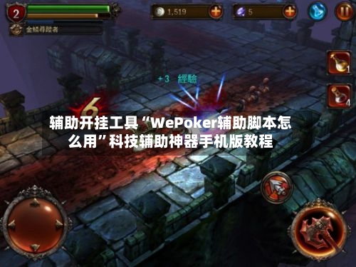 辅助开挂工具“WePoker辅助脚本怎么用”科技辅助神器手机版教程-第3张图片