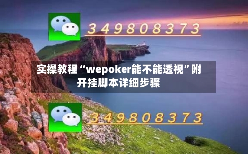 实操教程“wepoker能不能透视	”附开挂脚本详细步骤-第1张图片