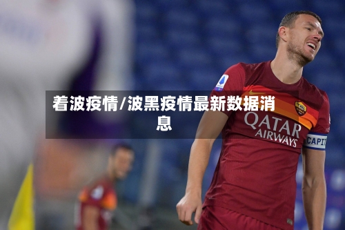 着波疫情/波黑疫情最新数据消息-第1张图片