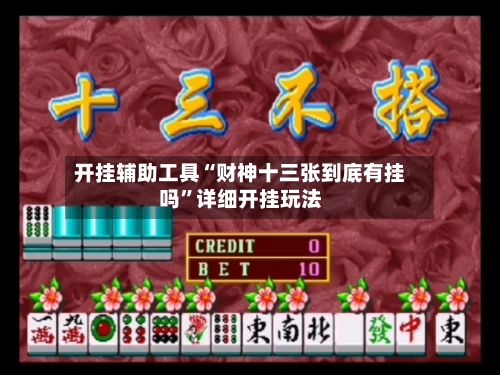 开挂辅助工具“财神十三张到底有挂吗	”详细开挂玩法-第2张图片