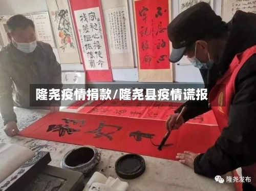 隆尧疫情捐款/隆尧县疫情谎报-第2张图片