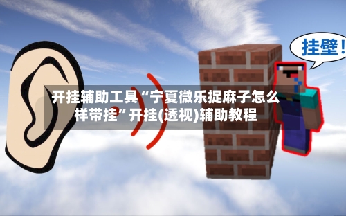 开挂辅助工具“宁夏微乐捉麻子怎么样带挂”开挂(透视)辅助教程-第2张图片