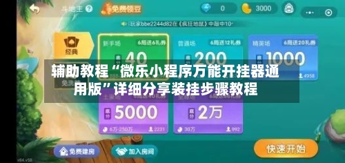 辅助教程“微乐小程序万能开挂器通用版	”详细分享装挂步骤教程-第2张图片