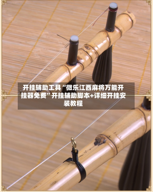 开挂辅助工具“微乐江西麻将万能开挂器免费	”开挂辅助脚本+详细开挂安装教程-第2张图片