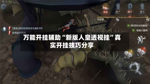 万能开挂辅助“新版人皇透视挂”真实开挂技巧分享-第3张图片