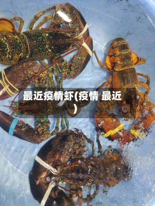 最近疫情虾(疫情 最近)-第2张图片