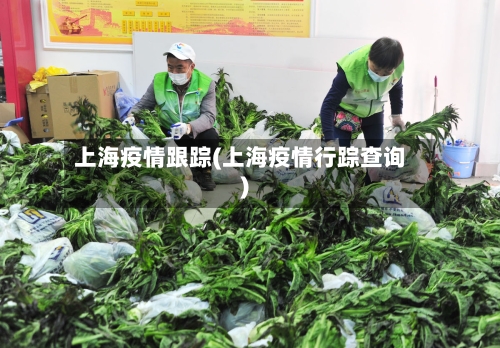 上海疫情跟踪(上海疫情行踪查询)-第2张图片