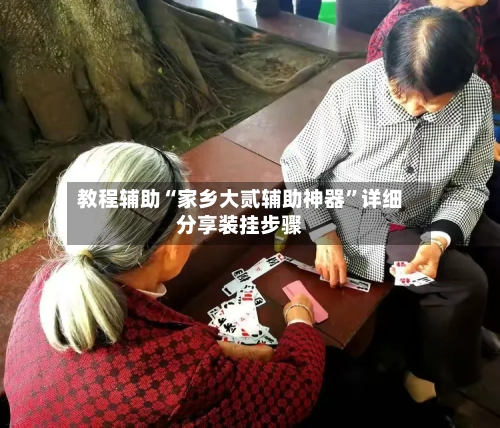 教程辅助“家乡大贰辅助神器	”详细分享装挂步骤-第2张图片