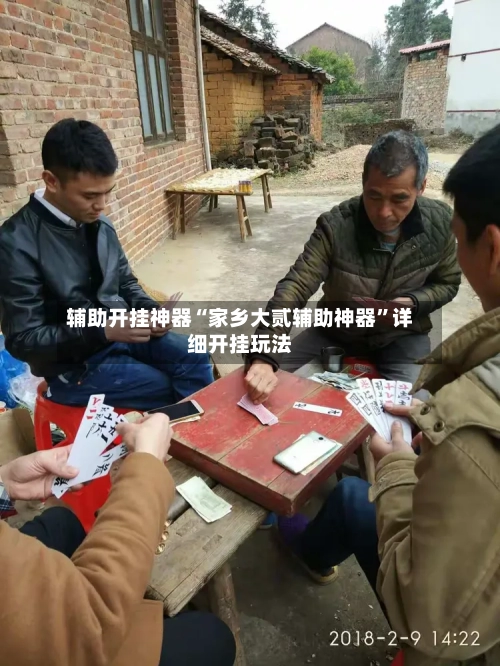 辅助开挂神器“家乡大贰辅助神器”详细开挂玩法-第2张图片