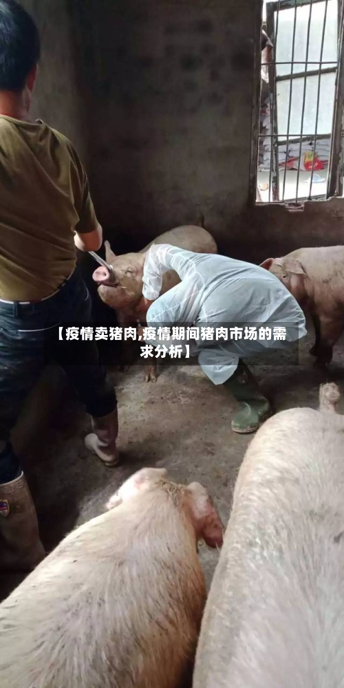 【疫情卖猪肉,疫情期间猪肉市场的需求分析】-第2张图片