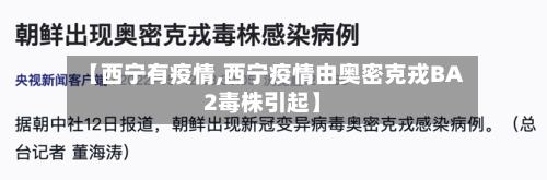 【西宁有疫情,西宁疫情由奥密克戎BA2毒株引起】-第1张图片