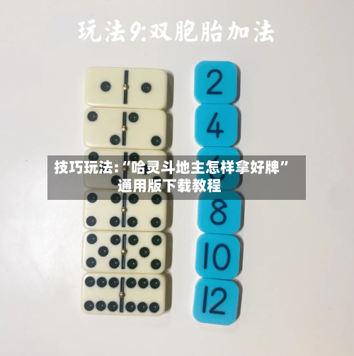 技巧玩法:“哈灵斗地主怎样拿好牌	”通用版下载教程-第2张图片