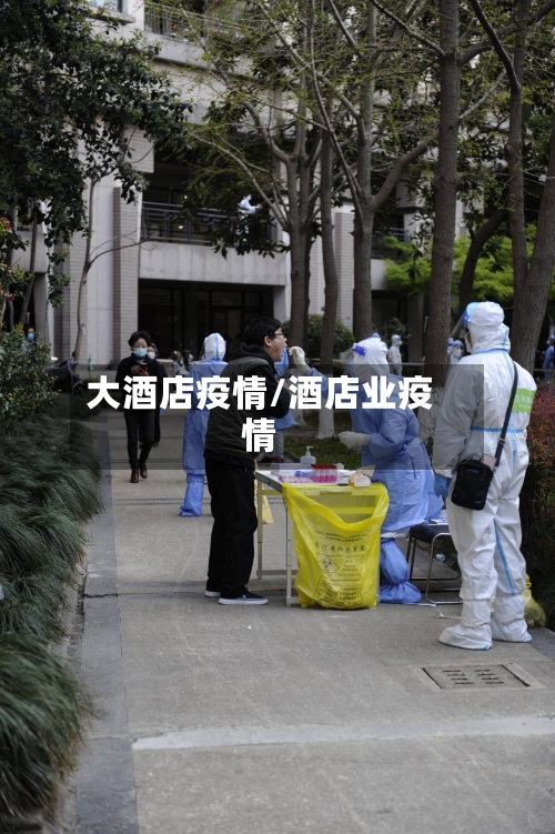 大酒店疫情/酒店业疫情-第2张图片