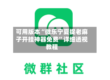 可用版本“微乐宁夏捉老麻子开挂神器免费”详细透视教程-第3张图片