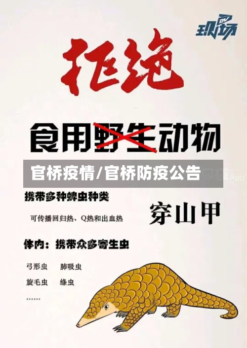 官桥疫情/官桥防疫公告-第1张图片