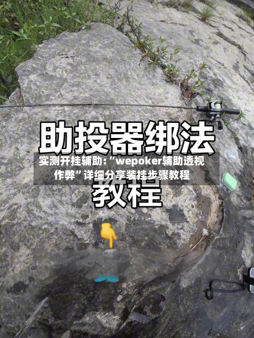 实测开挂辅助:“wepoker辅助透视作弊”详细分享装挂步骤教程-第1张图片