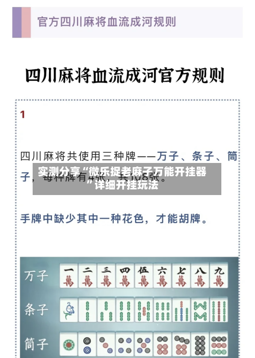 实测分享“微乐捉老麻子万能开挂器”详细开挂玩法-第1张图片