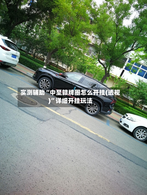 实测辅助“中至赣牌圈怎么开挂(透视)”详细开挂玩法-第1张图片