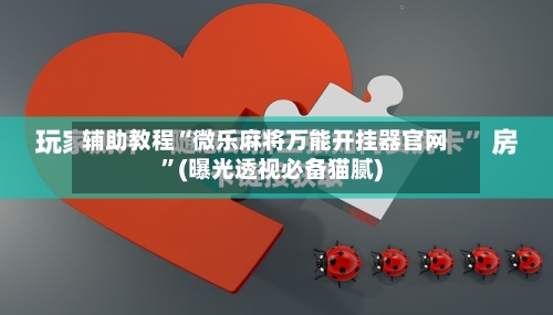 辅助教程“微乐麻将万能开挂器官网”(曝光透视必备猫腻)-第1张图片