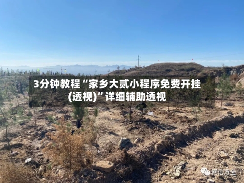 3分钟教程“家乡大贰小程序免费开挂(透视)	”详细辅助透视-第2张图片