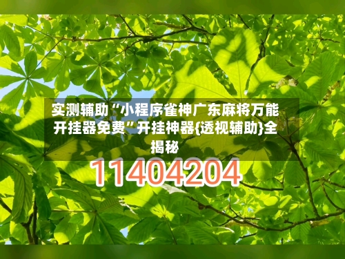 实测辅助“小程序雀神广东麻将万能开挂器免费”开挂神器{透视辅助}全揭秘-第2张图片